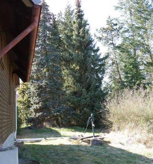 DSC05808